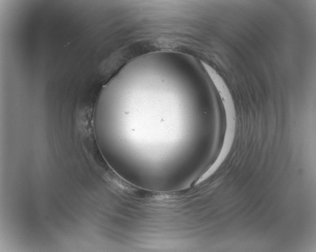 X0000068730237200605192327