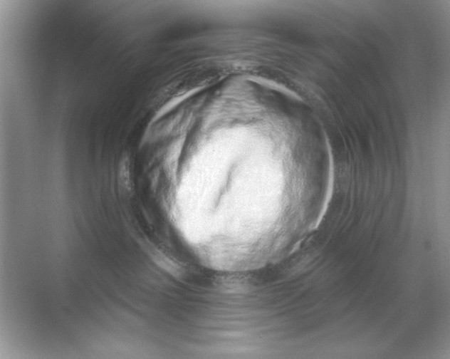 X0000068730238200605192327