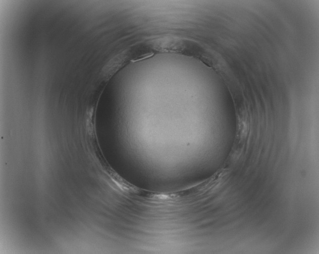 X0000068730239200605192327