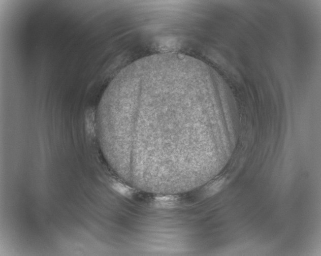 X0000068730240200605192327