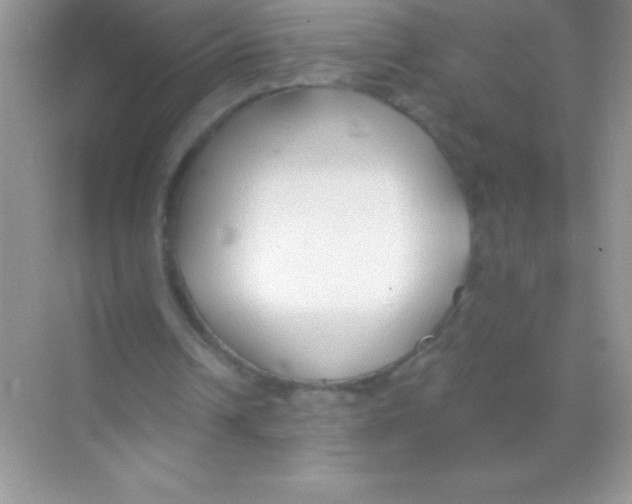 X0000068730242200605192326