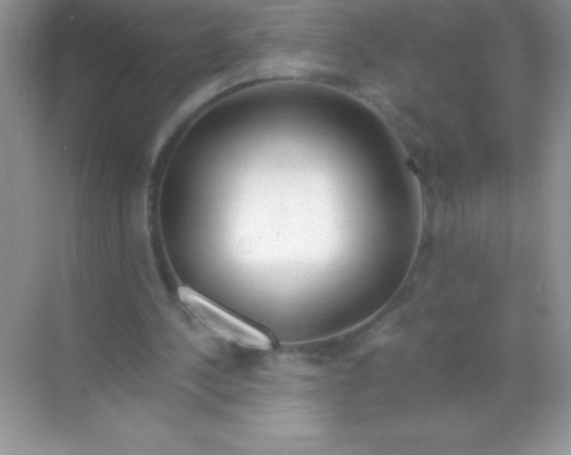 X0000068730244200605192326