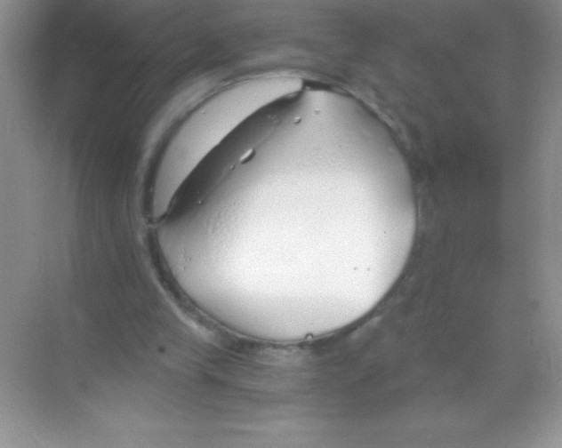 X0000068730245200605192326