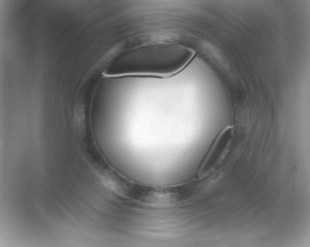 X0000068730260200605192327