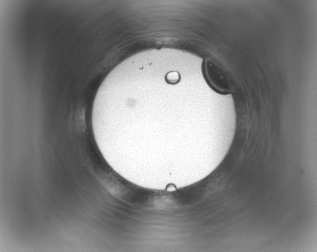 X0000068730262200605192327