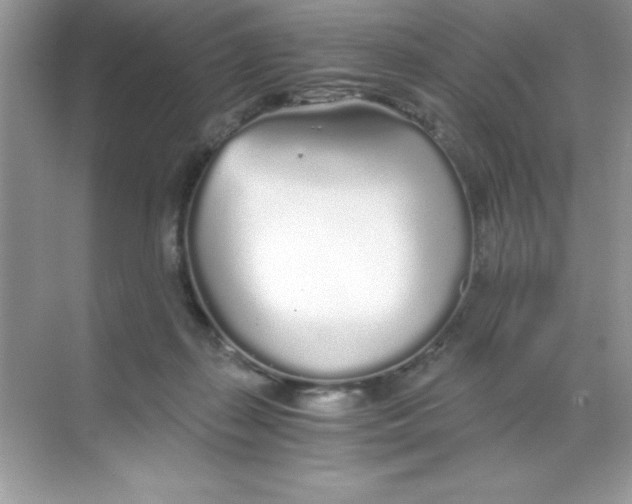 X0000068730267200605192327