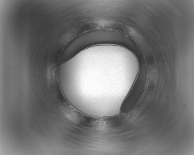 X0000068730276200605192327