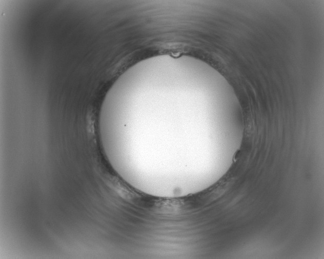 X0000068730282200605192327