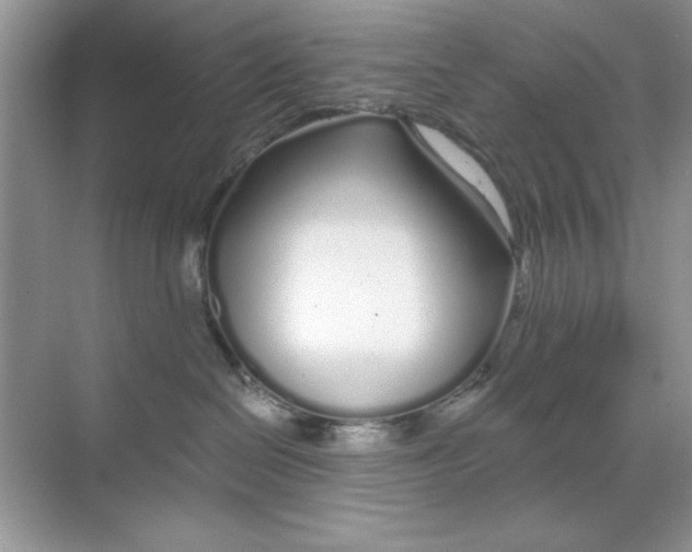 X0000068730286200605192327