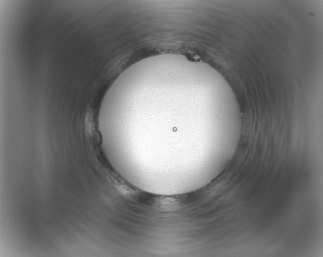 X0000068730287200605192327