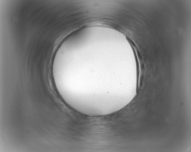 X0000068730289200605192326