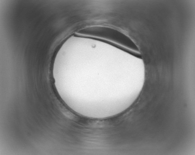 X0000068730293200605192326