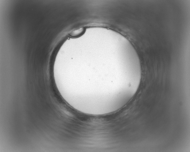 X0000068730296200605192326