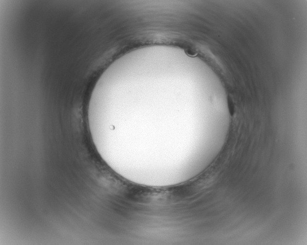 X0000068730306200605192326