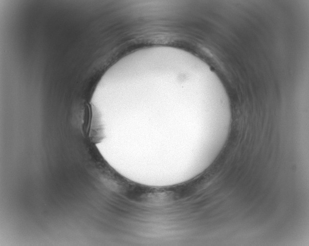 X0000068730307200605192326