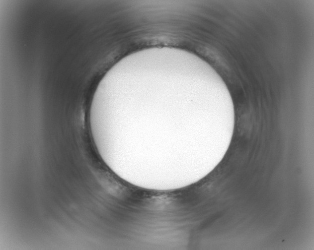 X0000068730310200605192326