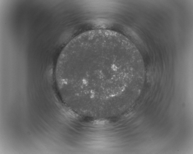 X0000068730314200605192326