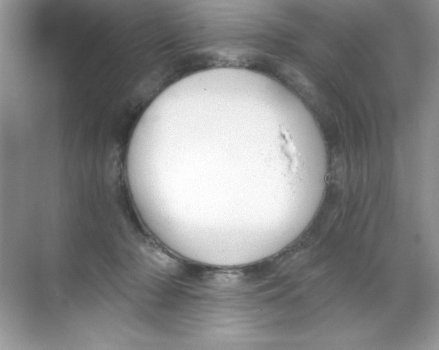 X0000068730318200605192326