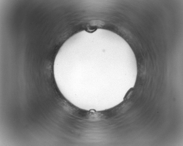 X0000068730321200605192326