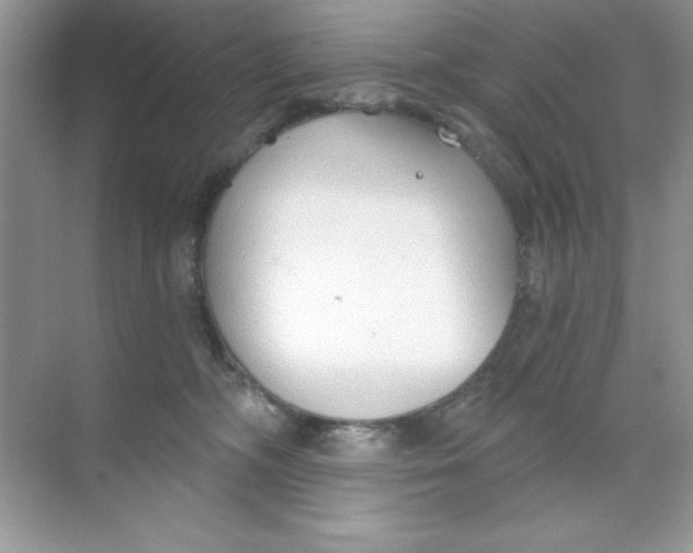 X0000068730326200605192326