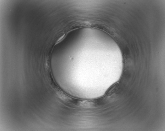 X0000068730331200605192326