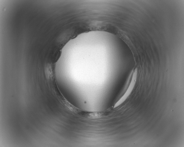 X0000068730335200605192325