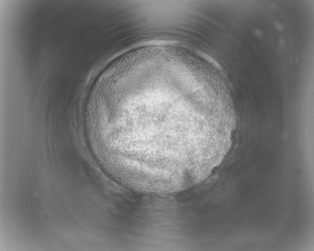 X0000068730337200605192325