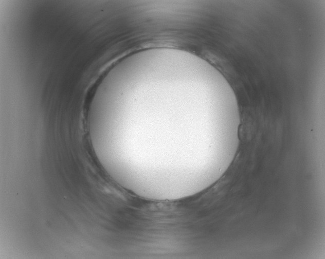 X0000068730338200605192325