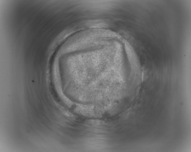 X0000068730339200605192325