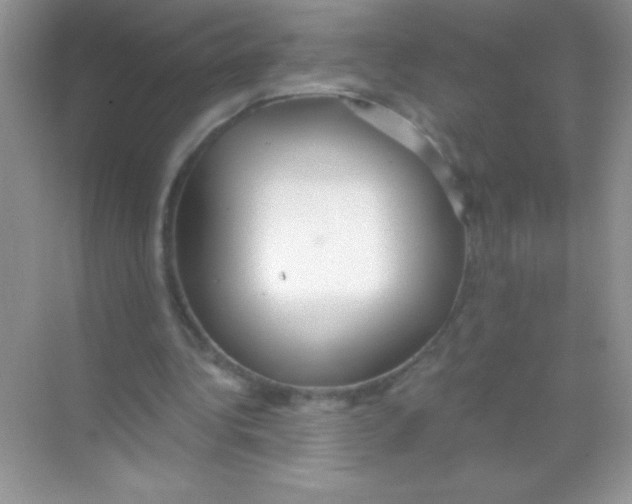 X0000068730340200605192325