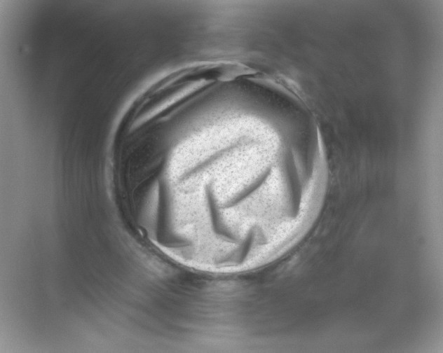 X0000068730342200605192325