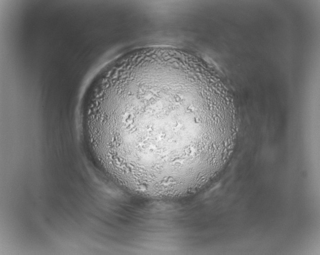 X0000068730343200605192325