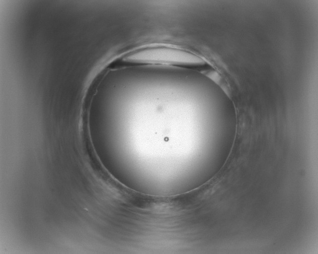 X0000068730344200605192325