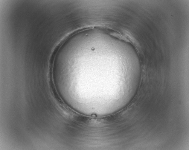 X0000068730346200605192325