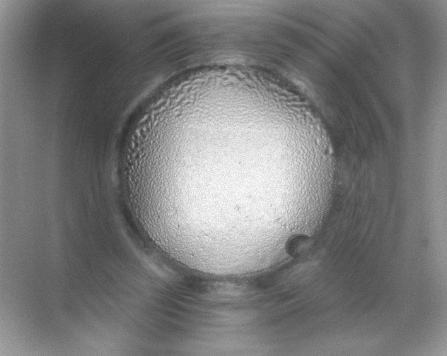 X0000068730347200605192325