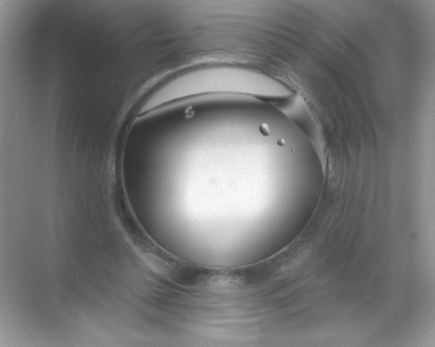 X0000068730348200605192325