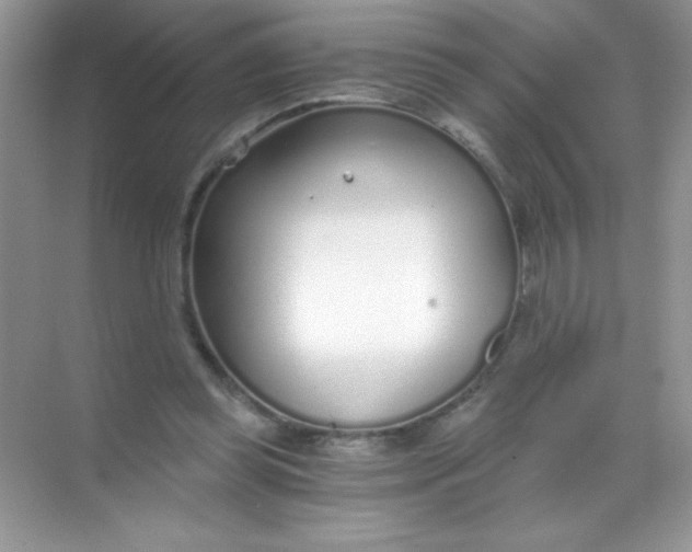 X0000068730349200605192325