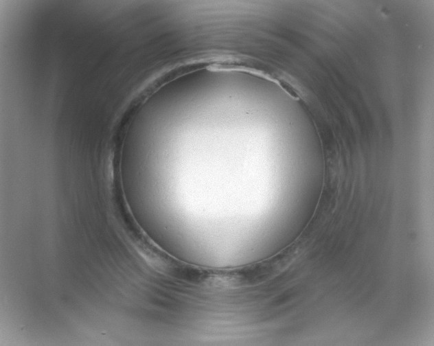 X0000068730350200605192325