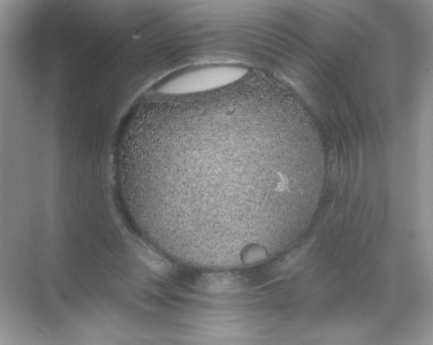 X0000068730351200605192325