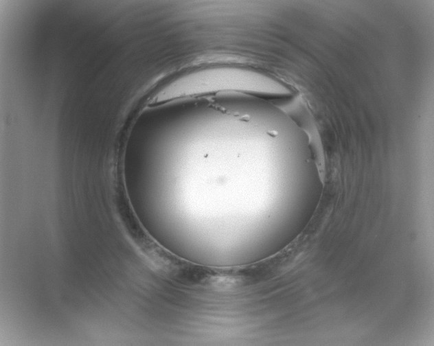 X0000068730352200605192325