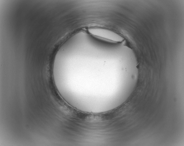 X0000068730354200605192325