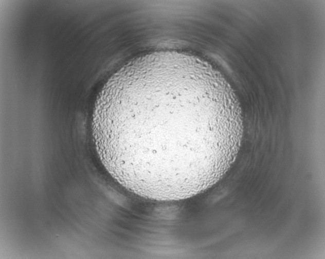 X0000068730357200605192325