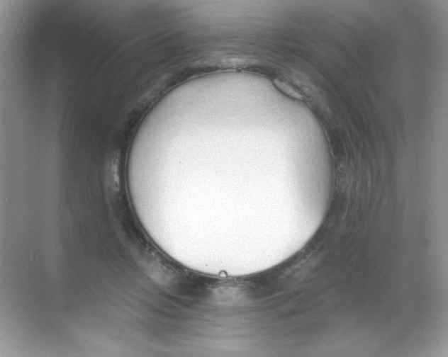 X0000068730358200605192325