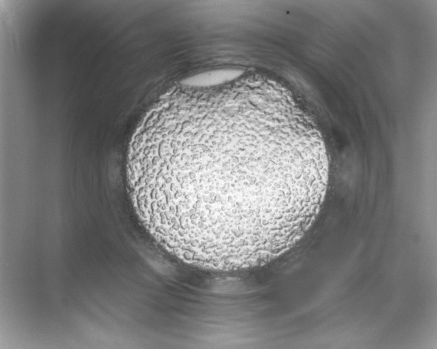 X0000068730361200605192325