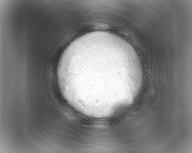 X0000068730363200605192325