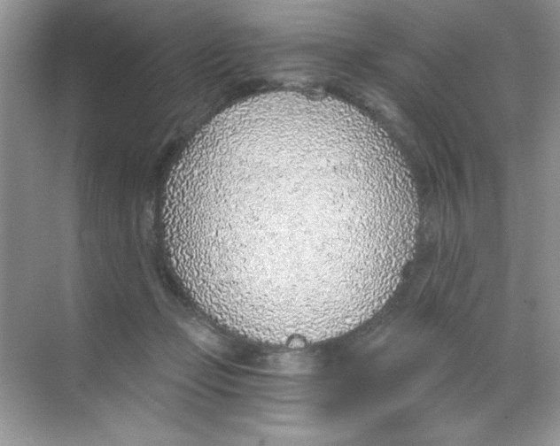 X0000068730365200605192325