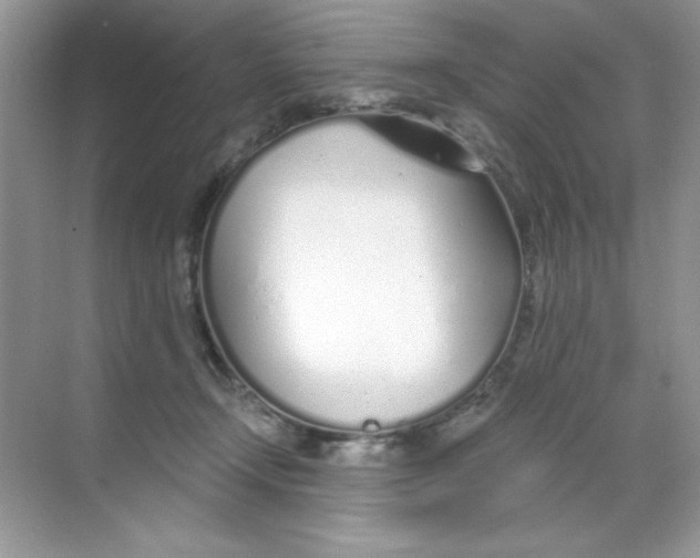 X0000068730366200605192325