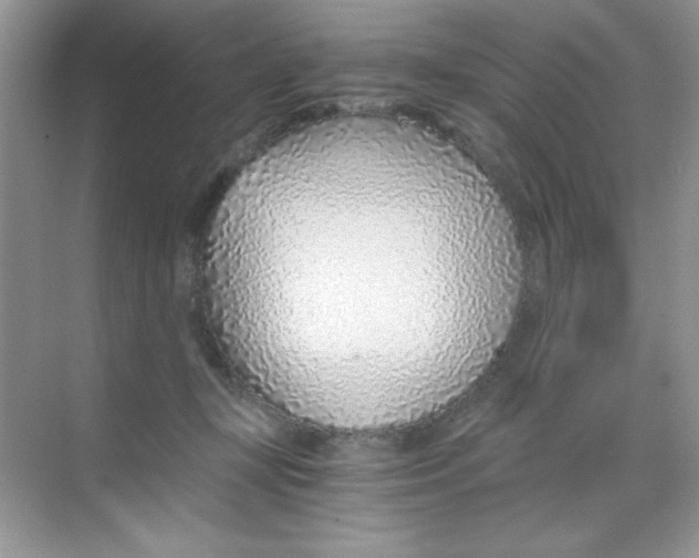 X0000068730367200605192325