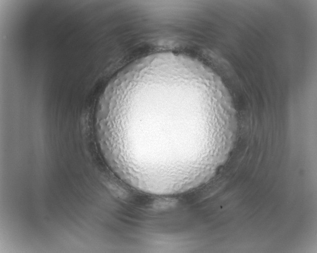 X0000068730369200605192325