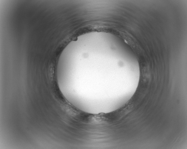 X0000068730372200605192325